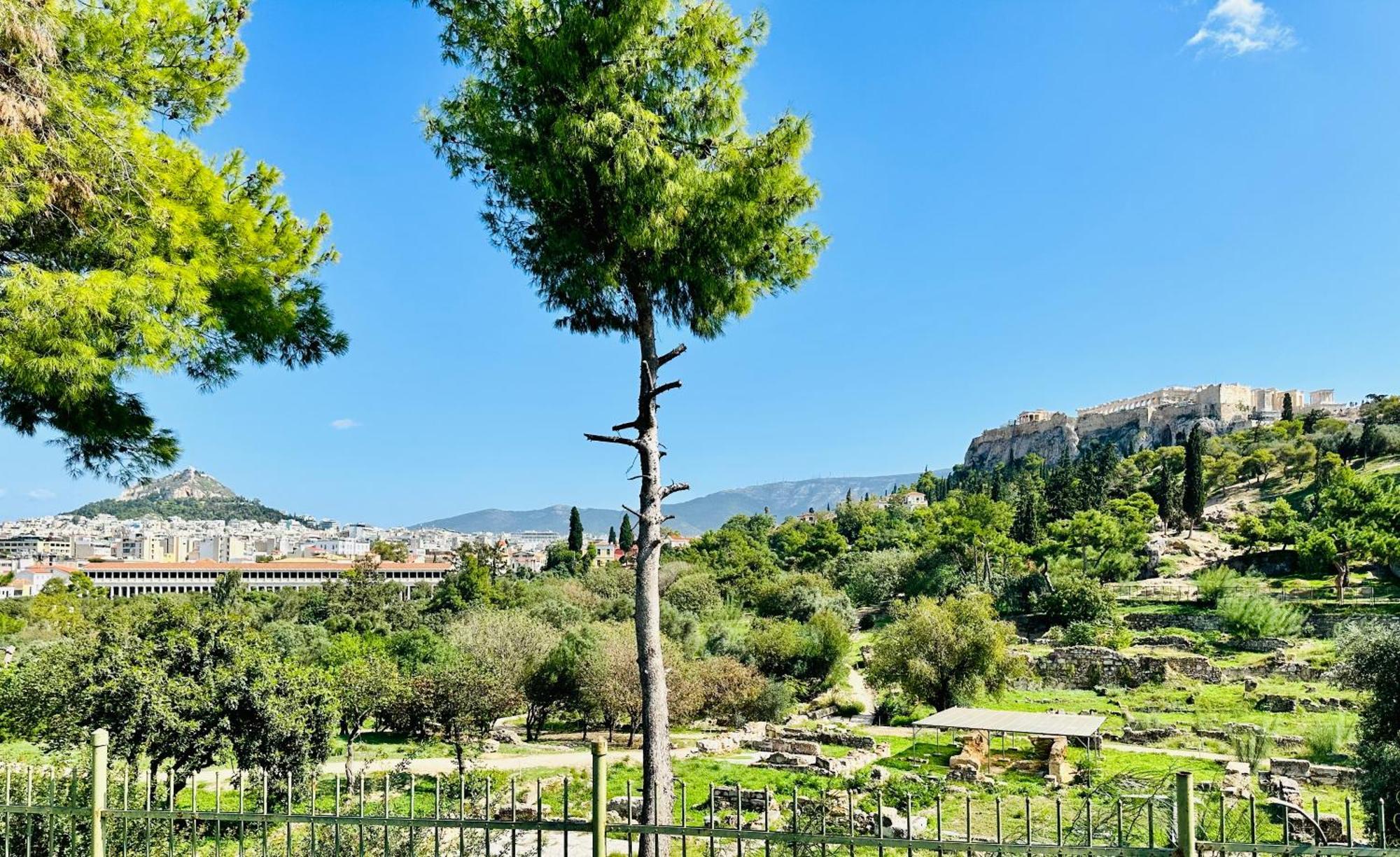 Yuna Penthouse, 100Sqm Private Rooftop Terrasse, Acropolis By Foot Atina Dış mekan fotoğraf